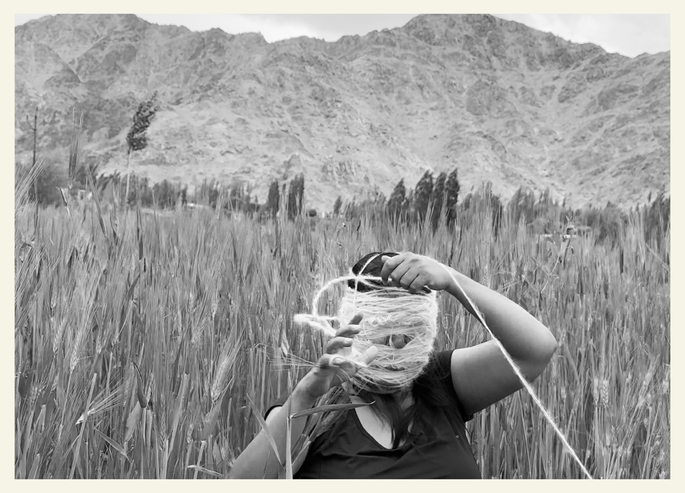 The same gesture performed in a wheat field with the Ladakh mountains behind